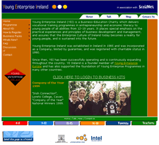 Young Enterprise Ireland